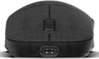 Миша Endgame Gear XM2w 4k v2 Wireless (PGW-EG-MOU-081) Dark Frost - фото 4 - інтернет-магазин електроніки та побутової техніки TTT