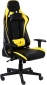 Крісло геймерське 1stPlayer FK2 Black-Yellow - фото 2 - інтернет-магазин електроніки та побутової техніки TTT