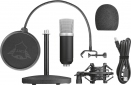 Микрофон Trust GXT 252 Emita Streaming Microphone (21753) - фото 6 - интернет-магазин электроники и бытовой техники TTT