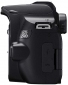 Фотоаппарат Canon EOS 250D BK 18-55 IS (3454C007AA) - фото 9 - интернет-магазин электроники и бытовой техники TTT