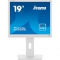 Монитор Iiyama ProLite B1980D-W5 - фото 2 - интернет-магазин электроники и бытовой техники TTT