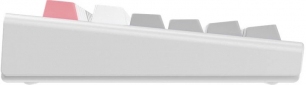 Клавіатура бездротова 1stPlayer NEO87 Cranberry Switch Bluetooth/USB/2.4GHz (NEO87-FW-TLD) Frostwave  - фото 3 - інтернет-магазин електроніки та побутової техніки TTT