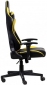 Крісло геймерське 1stPlayer FK2 Black-Yellow - фото 2 - інтернет-магазин електроніки та побутової техніки TTT