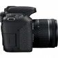 Фотоаппарат Canon EOS 77D EF-S 18-55mm IS STM Kit Black (1892C022) - фото 5 - интернет-магазин электроники и бытовой техники TTT