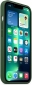 Панель Apple MagSafe Silicone Case для Apple iPhone 13 Pro (MM2F3ZE/A) Clover - фото 3 - интернет-магазин электроники и бытовой техники TTT