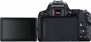 Фотоапарат Canon EOS 250D BK 18-55 IS (3454C007AA)  - фото 2 - інтернет-магазин електроніки та побутової техніки TTT