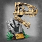 Конструктор LEGO Jurassic World Скамʼянілості динозаврів: череп тиранозавра 577 деталей (76964) - фото 10 - інтернет-магазин електроніки та побутової техніки TTT