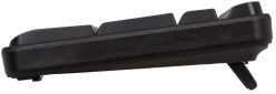 Клавиатура проводная Rapoo N2400 USB Black - фото 4 - интернет-магазин электроники и бытовой техники TTT