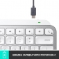 Клавиатура беспроводная Logitech MX Keys Mini For Mac Wireless Illuminated (920-010526) Pale Grey  - фото 8 - интернет-магазин электроники и бытовой техники TTT