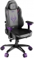 Крісло геймерське 1STPLAYER F.A.S.T. Black-Purple - фото 5 - інтернет-магазин електроніки та побутової техніки TTT