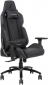 Кресло геймерское 1stPlayer DK2 Pro Dark Black - фото 4 - интернет-магазин электроники и бытовой техники TTT