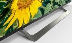 Телевизор Sony KD-43XF8096 (KD43XF8096BR) - фото 5 - интернет-магазин электроники и бытовой техники TTT