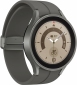 Смарт часы Samsung Galaxy Watch 5 Pro (SM-R920NZTASEK) Titanium - фото 3 - интернет-магазин электроники и бытовой техники TTT