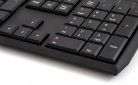 Клавіатура Defender OfficeMate SM-820 USB (45820) Black - фото 2 - інтернет-магазин електроніки та побутової техніки TTT
