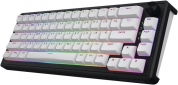 Клавіатура бездротова Hator Skyfall 65 Aurum Sterling RGB Wireless/Bluetooth/USB (HTK3160UA) Black/White - фото 3 - інтернет-магазин електроніки та побутової техніки TTT