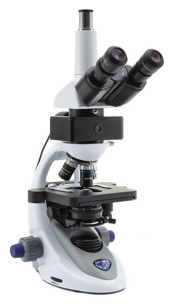

Микроскоп Optika B-293LD1 100x-1000x Trino Fluorescence (927604)
