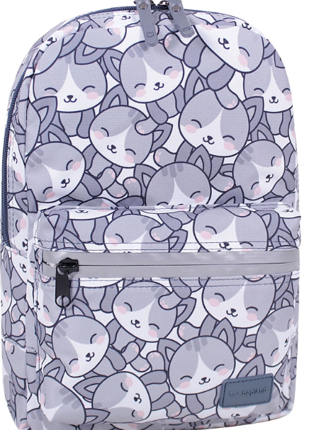 

Рюкзак AIRON Bagland Молодежный mini 8 л. 508664 (сублимация 756)