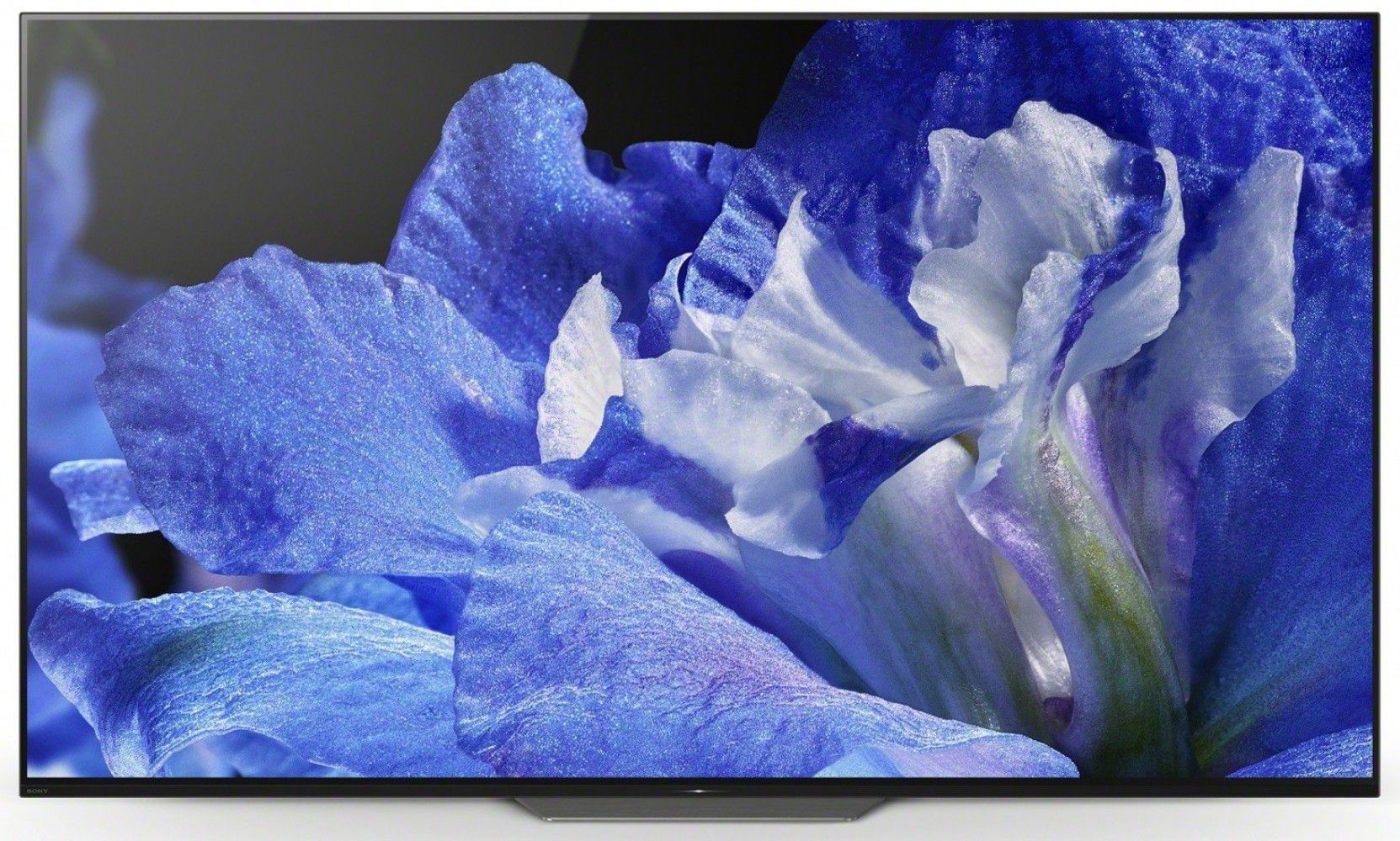 

Телевизор Sony KD-65AF8 (KD65AF8BR2)
