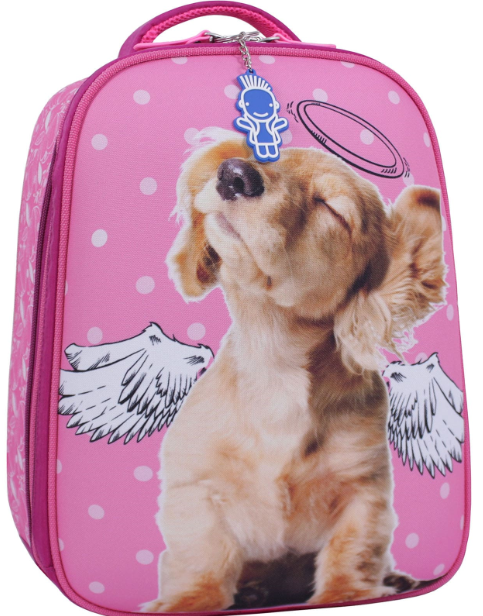 

Рюкзак школьный AIRON Bagland Turtle 17 л. 13470 (малиновый 561)