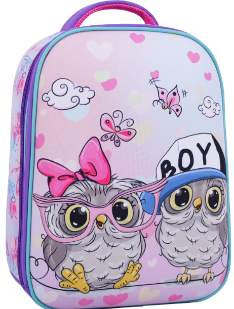 

Рюкзак школьный AIRON Bagland Turtle 17 л. 13466 (фиолетовый 515)