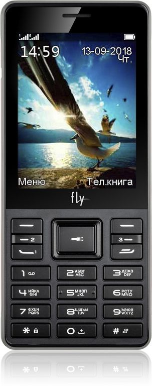 

Мобильный телефон Fly TS114 Black