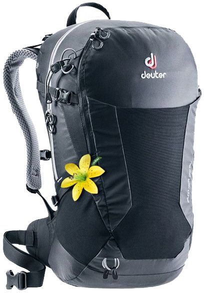

Рюкзак Deuter Futura 22 SL 7000 (3400018 7000) Black