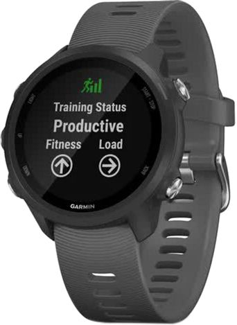 

Спортивные часы Garmin Forerunner 245 (010-02120-10) Grey