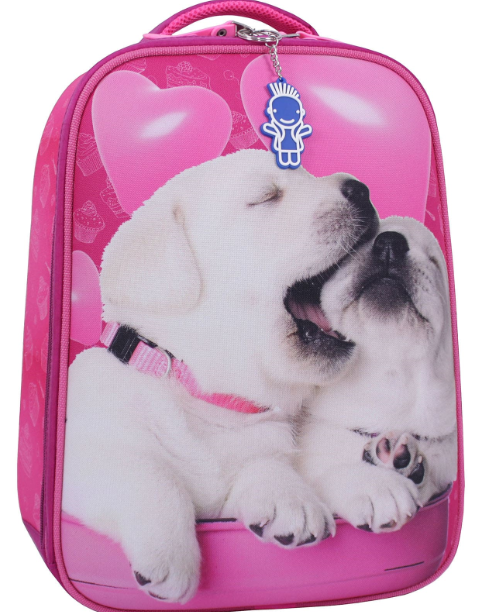 

Рюкзак школьный AIRON Bagland Turtle 17 л.13470 (малиновый 593)