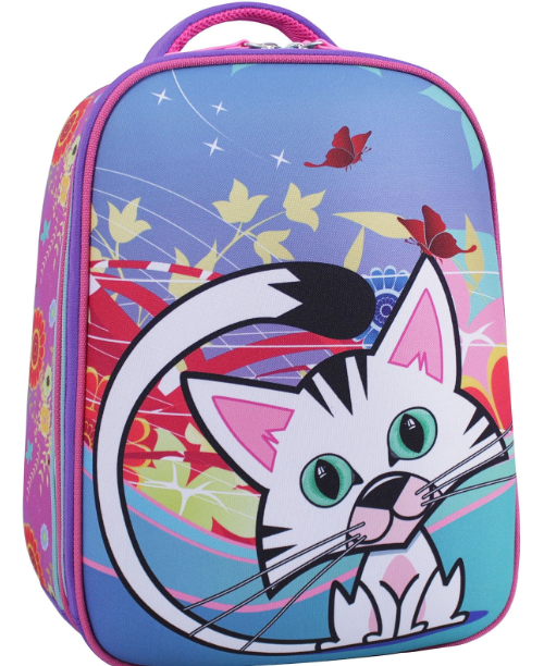 

Рюкзак школьный AIRON Bagland Turtle 17 л.13466 (фиолетовый 502)