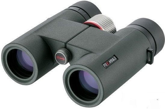 

Бинокль Kowa BD 10x32 XD Prominar (921656)