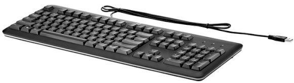 

Клавиатура HP USB OEM (QY776AA)