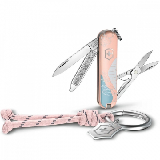 Складаний ніж Victorinox Classic Sd Paris Style 0.6223.E221 - фото - інтернет-магазин електроніки та побутової техніки TTT