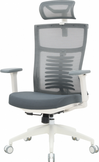 Крісло офісне OfficePro Balance OC550-W-DG-DG White/Dark Gray - фото Крісло офісне OfficePro Balance OC550-W-DG-DG White/Dark Gray - фото - інтернет-магазин електроніки та побутової техніки TTT