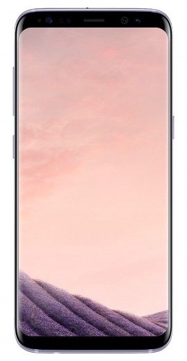 Смартфон Samsung Galaxy S8 64GB (SM-G950FZVDSEK) Orchid Gray - фото - інтернет-магазин електроніки та побутової техніки TTT