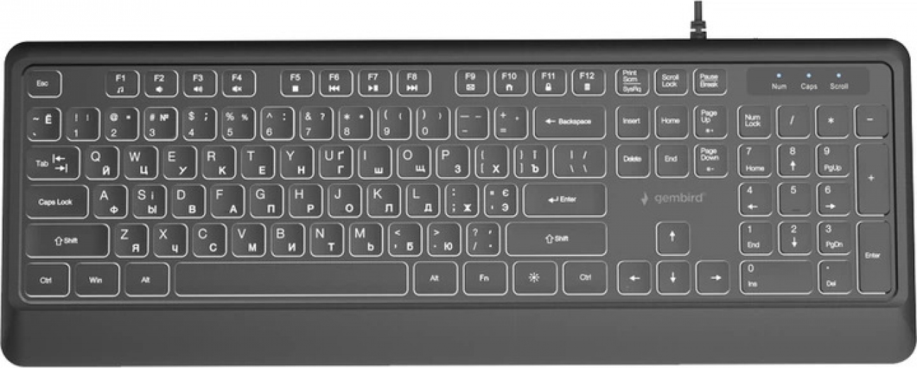 Клавиатура проводная Gembird Slim Multimedia White Backlight USB (KB-UML-04-CYRL) Black  - фото - интернет-магазин электроники и бытовой техники TTT