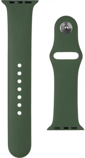 Ремешок Silicon WatchBand for Apple Watch 42mm Pine Green - фото - интернет-магазин электроники и бытовой техники TTT