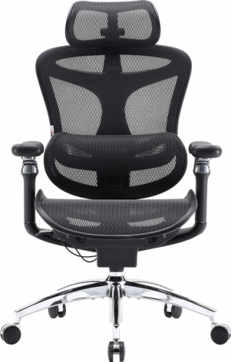 Кресло офисное SIHOO DORO C300 Pro (DORO-C300-PRO-M101) Mesh Black - фото - интернет-магазин электроники и бытовой техники TTT