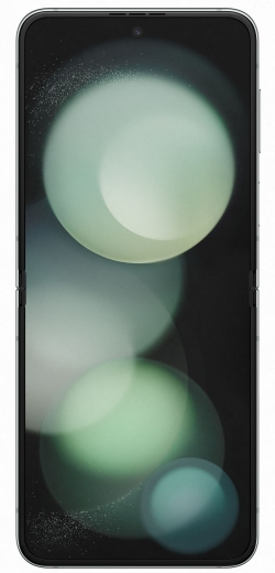 Смартфон Samsung Galaxy Flip 5 8/256Gb (SM-F731BLGGSEK) Mint - фото - интернет-магазин электроники и бытовой техники TTT