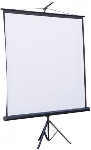 Проекційний екран ATRIA Eco TRM-NTSC-100D - фото - інтернет-магазин електроніки та побутової техніки TTT