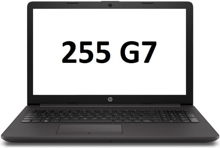 Купить Ноутбук Hp 255 G7 В Рыбинске