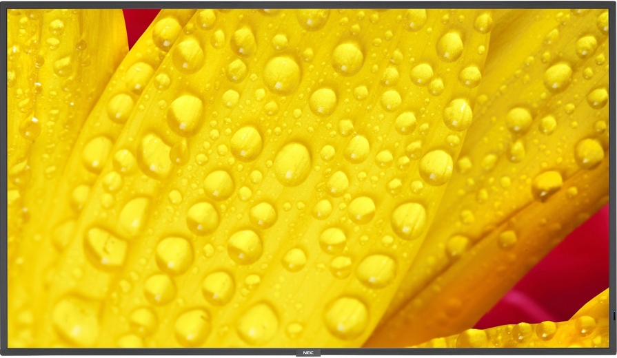 Монитор NEC MultiSync ME501 (60005053) - фото - интернет-магазин электроники и бытовой техники TTT