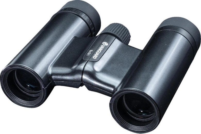 Бинокль Vanguard Vesta Compact 8x21 WP (Vesta 8210 BP) (DAS301032) Black Pearl - фото - интернет-магазин электроники и бытовой техники TTT