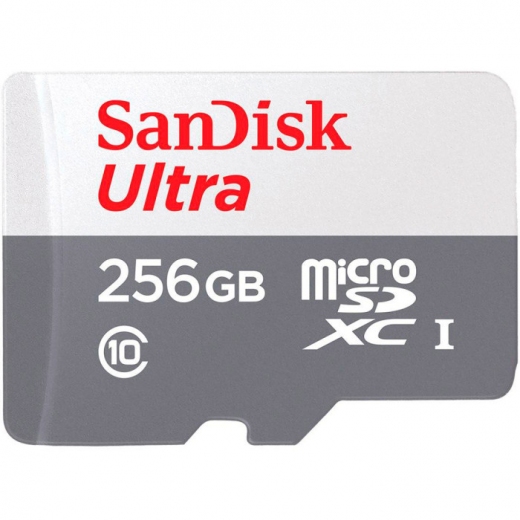 Карта памяти SanDisk Ultra microSDXC 256GB Class 10 V30 (SDSQUNR-256G-GN3MN) - фото - интернет-магазин электроники и бытовой техники TTT
