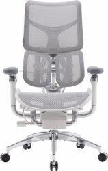 Кресло офисное SIHOO DORO S300 (S300-M202) Mesh Light Grey
