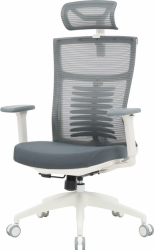 Крісло офісне OfficePro Balance OC550-W-DG-DG White/Dark Gray