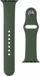 Ремінець Silicon WatchBand for Apple Watch 42mm Pine Green