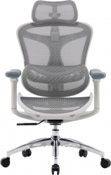 Крісло офісне SIHOO DORO C300L (DORO-C300L-A3-102) Mesh White