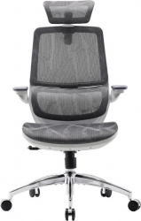 Кресло офисное SIHOO M59AS (M59AS-M301) Mesh Gray