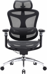 Кресло офисное SIHOO DORO C300 Pro (DORO-C300-PRO-M101) Mesh Black Кресло офисное SIHOO DORO C300 Pro (DORO-C300-PRO-M101) Mesh Black