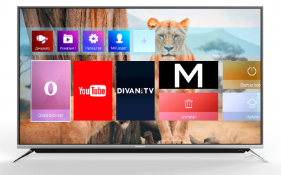 Телевизор Skyworth 49G6 Телевизор Skyworth 49G6